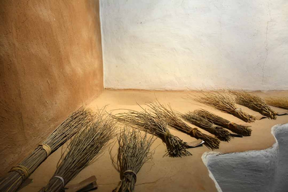 The museum includes a collection of over 160 types of brooms from Rajasthan and elucidates their connection to the surrounding biodiversity.
