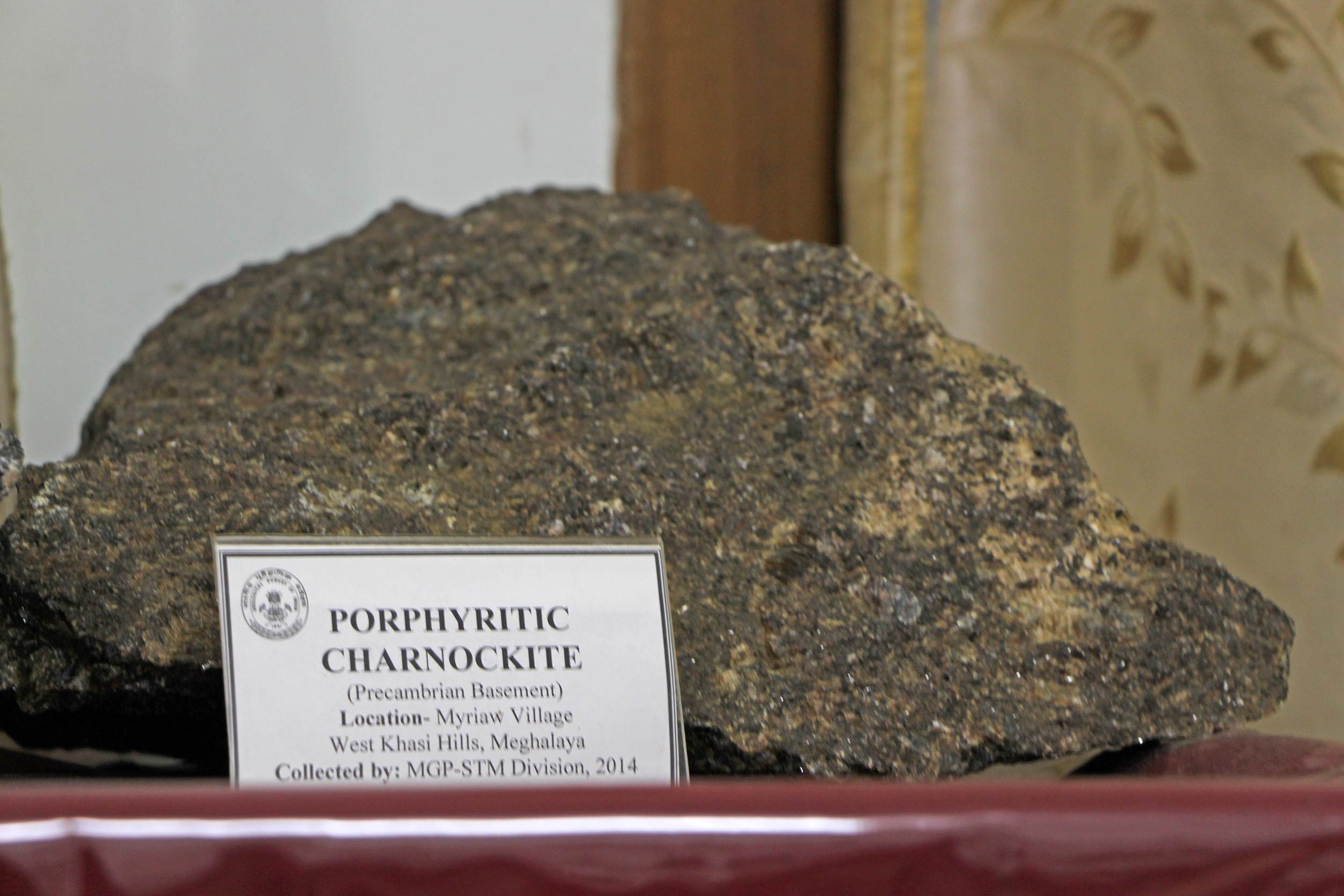 Porphyritic Charnockite found in the West Khasi Hills