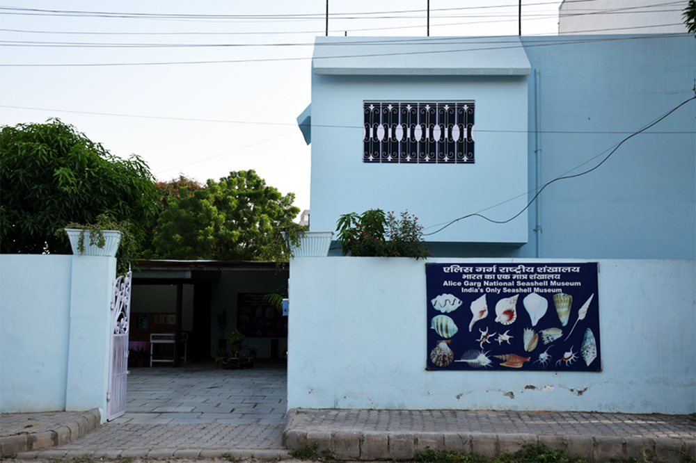 Facade of Alice Garg National Sea Shell Museum 