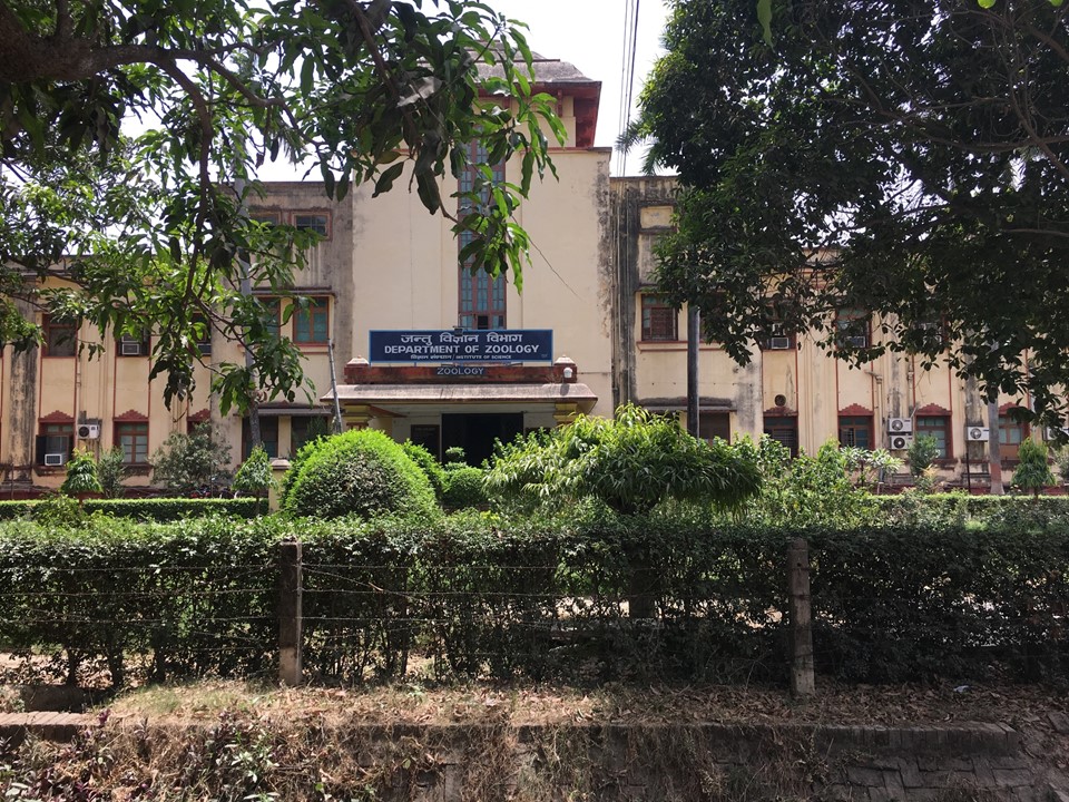 Main Entry to the Zoology Department, BHU