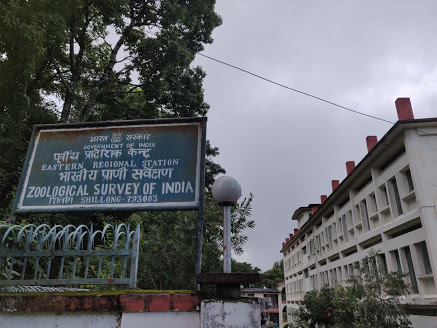 Signboard and building of the Zoological Survey of India