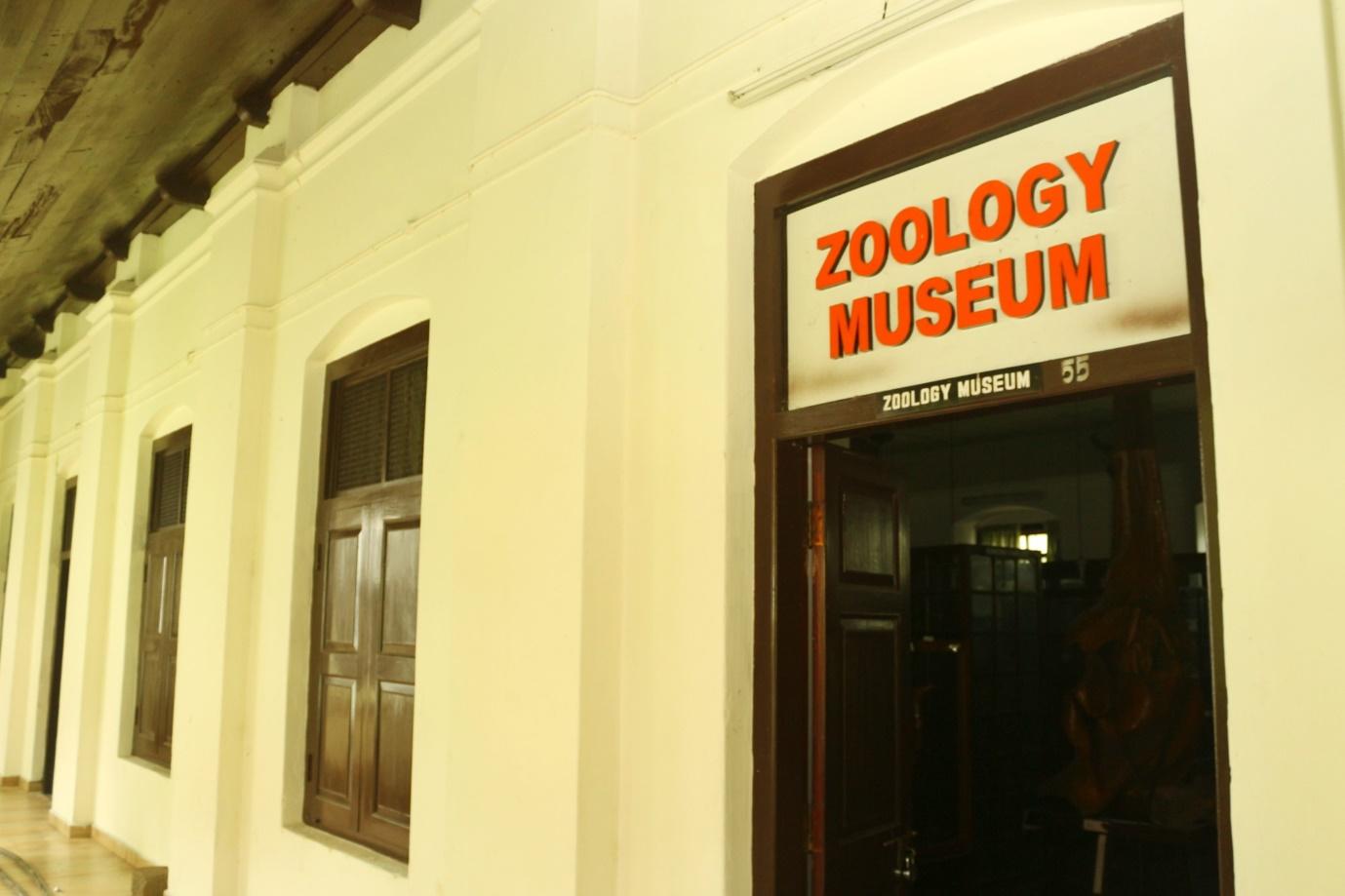 Maharaja’s College Zoology Museum